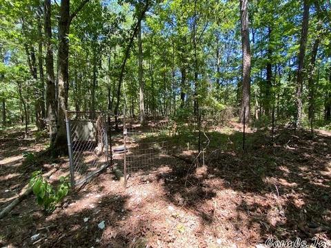 429 Polk Road 257, Wickes, AR 71973 photo 15