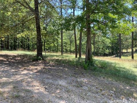 429 Polk Road 257, Wickes, AR 71973 photo 18