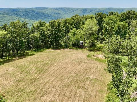 1278 Madison 4401, Combs, AR 72721 photo 5
