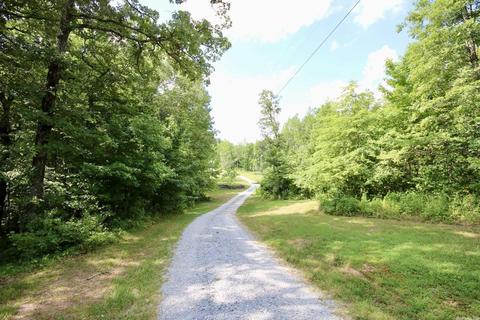 1278 Madison 4401, Combs, AR 72721 photo 7