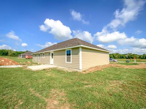 95 Lydia Ln, Flippin, AR 72634 photo 5