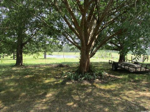 2314 Brown Springs Loop, Donaldson, AR 71941 photo 14