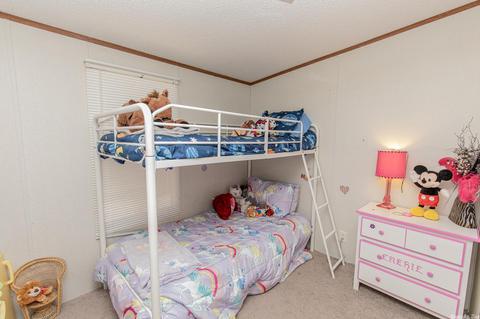 3258 Grant 16, Grapevine, AR 72057 photo 23