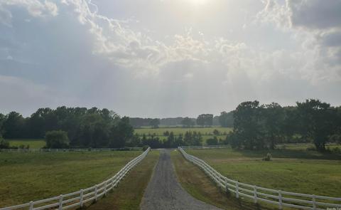 96 Timberline, Beebe, AR 72012 photo 4
