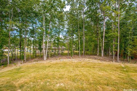 519 Reuben Dr, Alexander, AR 72002 photo 33