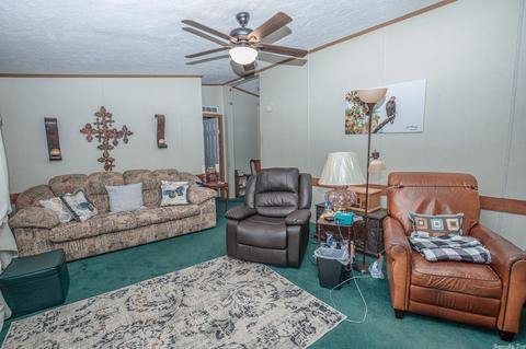3256 Grant 16, Grapevine, AR 72057 photo 22