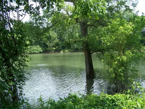 271 S River Rd, Searcy, AR 72143 photo 7