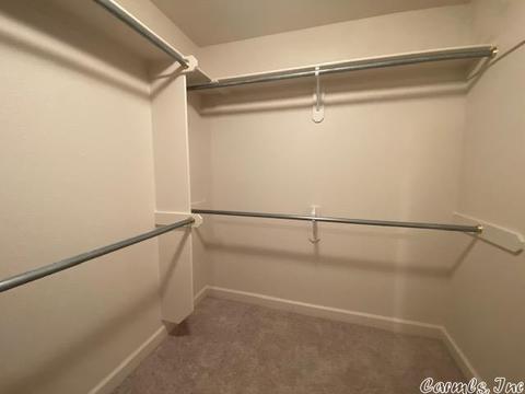 39 Sierra Dr, Austin, AR 72007 photo 25