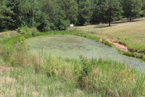 5324 Star Mountain Rd, Marshall, AR 72650 photo 17