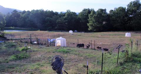 5324 Star Mountain Rd, Marshall, AR 72650 photo 19