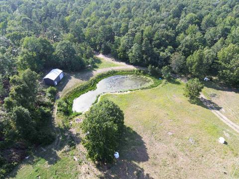 5324 Star Mountain Rd, Marshall, AR 72650 photo 2