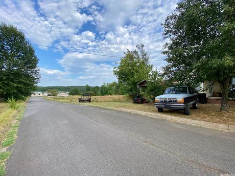 110 Blossom Loop, Clinton, AR 72031 photo 30