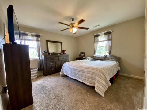 110 Blossom Loop, Clinton, AR 72031 photo 18
