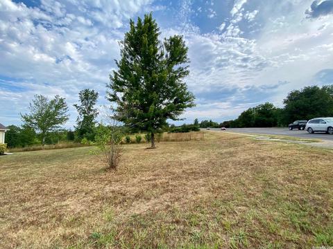 110 Blossom Loop, Clinton, AR 72031 photo 22