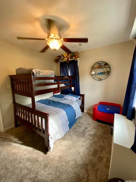 110 Blossom Loop, Clinton, AR 72031 photo 17