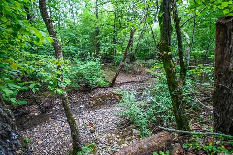 3068 Southside Rd, Oden, AR 71961 photo 34