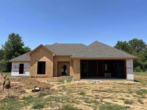 873 Diamond Dr, Walnut Ridge, AR 72476 photo 1