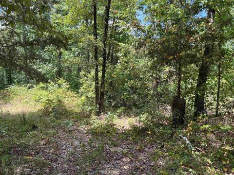 310 Devils Fork Ranch Rd, Drasco, AR 72530 photo 19