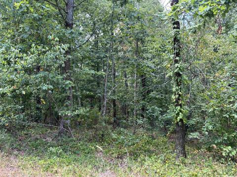 310 Devils Fork Ranch Rd, Drasco, AR 72530 photo 3