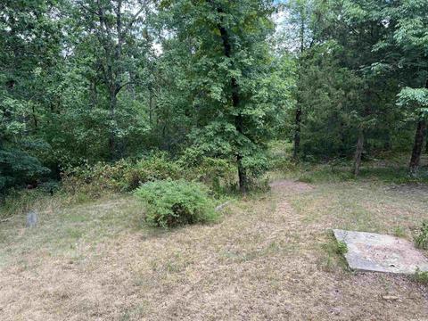 310 Devils Fork Ranch Rd, Drasco, AR 72530 photo 14