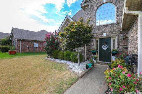 3513 Buckeye Cv, Benton, AR 72015 photo 6