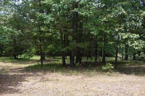 163 Dunston Rd, Mount Ida, AR 71957 photo 20