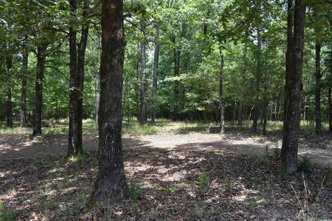 163 Dunston Rd, Mount Ida, AR 71957 photo 21