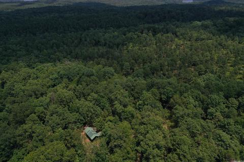 163 Dunston Rd, Mount Ida, AR 71957 photo 4