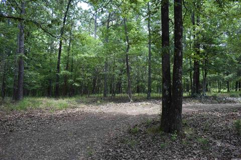 163 Dunston Rd, Mount Ida, AR 71957 photo 23