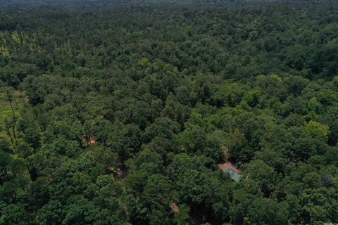 163 Dunston Rd, Mount Ida, AR 71957 photo 2