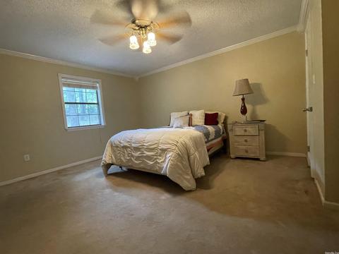 2401 David Dr, Alexander, AR 72002 photo 20