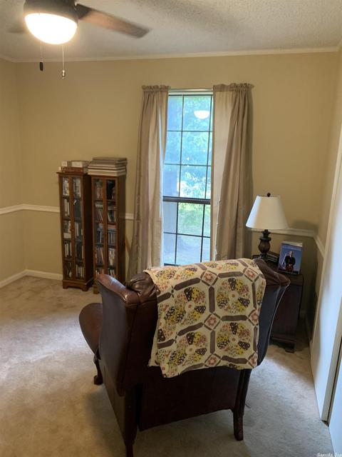 2401 David Dr, Alexander, AR 72002 photo 26