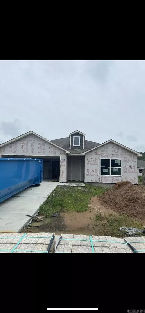 1100 Okeefe Ave, Conway, AR 72032 photo 1