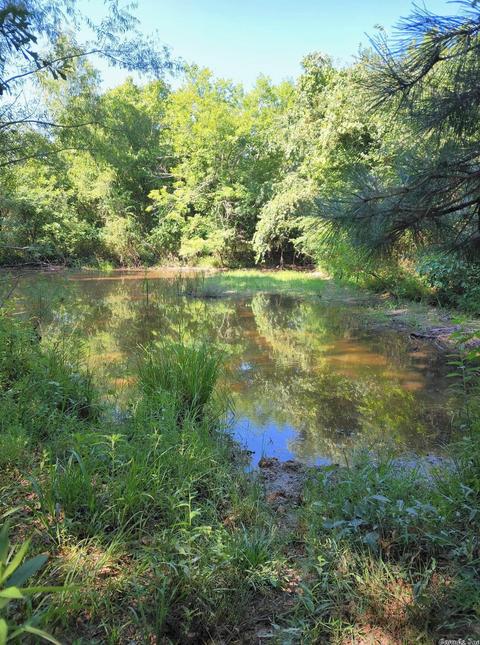 5277 Highway 88 E, Mena, AR 71953 photo 48