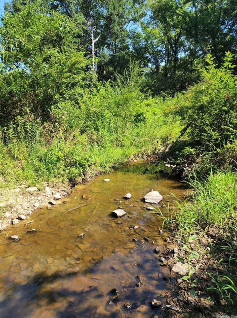 5277 Highway 88 E, Mena, AR 71953 photo 46