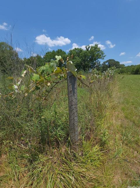 5277 Highway 88 E, Mena, AR 71953 photo 37