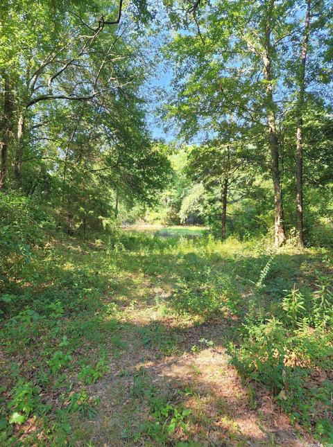 5277 Highway 88 E, Mena, AR 71953 photo 47