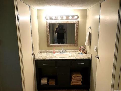 253 Wagon Cir, Higden, AR 72067 photo 5