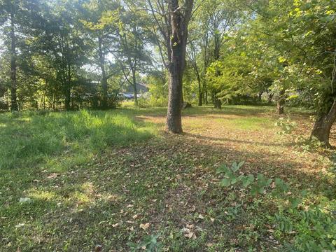 1715 Bowie, Conway, AR 72032 photo 1
