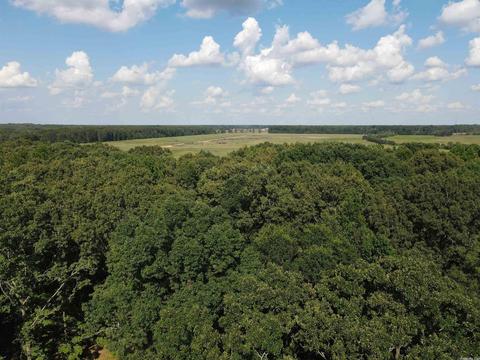 109 Chimney Rock Rd, Beebe, AR 72012 photo 4