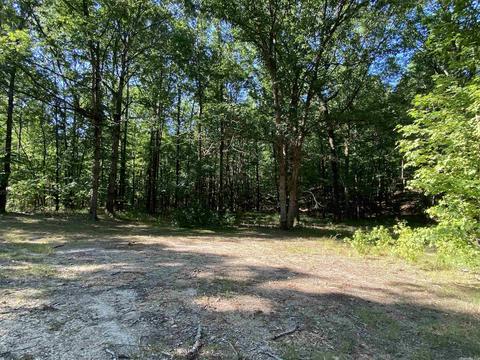 3251 Diamond Hl, Alexander, AR 72002 photo 15
