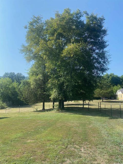 141 South Dr, Mount Ida, AR 71957 photo 2