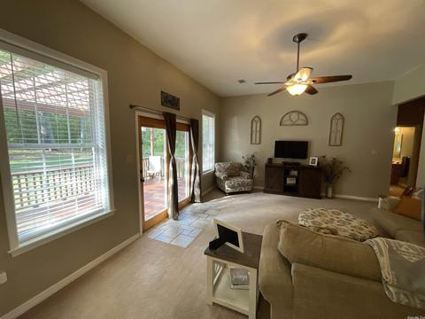 99 Norris Ln, Poughkeepsie, AR 72569 photo 21