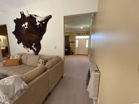 99 Norris Ln, Poughkeepsie, AR 72569 photo 23