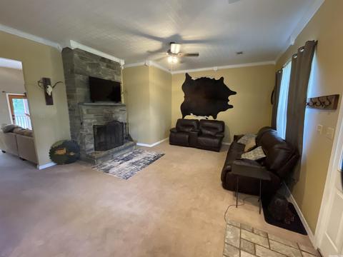 99 Norris Ln, Poughkeepsie, AR 72569 photo 11