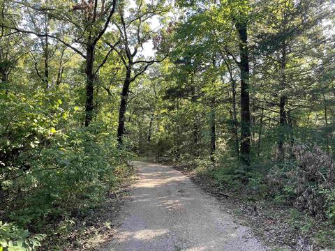 99 Norris Ln, Poughkeepsie, AR 72569 photo 37