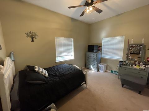 99 Norris Ln, Poughkeepsie, AR 72569 photo 29