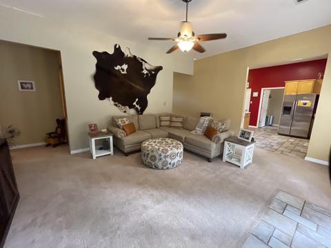 99 Norris Ln, Poughkeepsie, AR 72569 photo 22