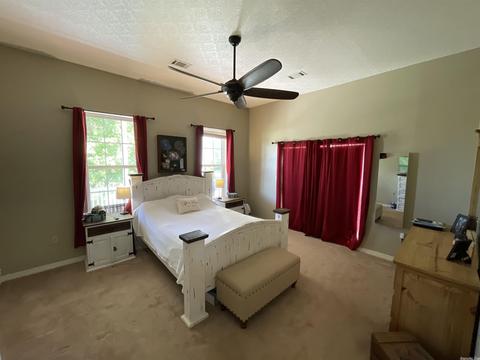 99 Norris Ln, Poughkeepsie, AR 72569 photo 24
