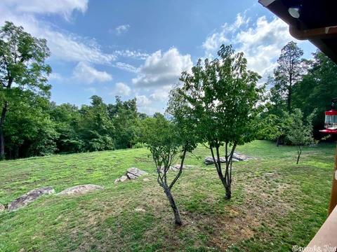 400 Black Bear Blf, Mountain View, AR 72560 photo 39